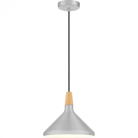 Quoizel Streeter Mini Pendant QPP5184AN
